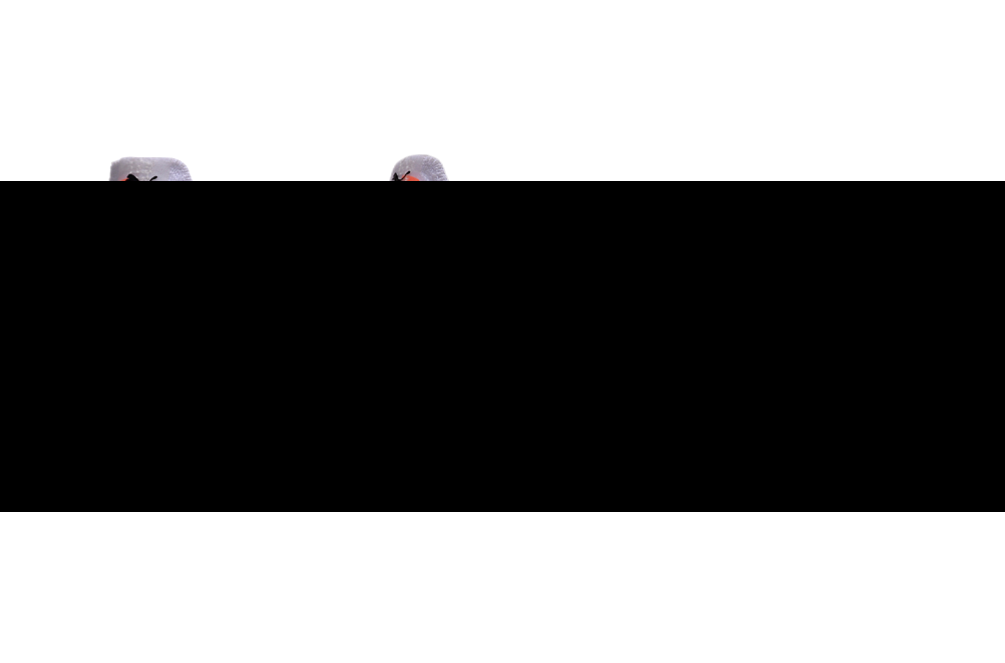 Puma Ultra 5 FG Elite Field Football Boots + Exclusive Gifts